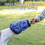 Anti-Mosquito Dog Muzzle Adjustable Breathable Bite-Resistant Pet Mask Outdoor Walking Training Comfortable Safe  M 3