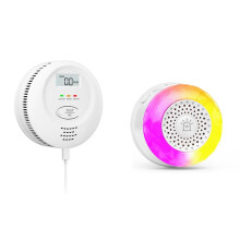 Tuya WiFi 2in1 Gas/CO Leak Detector Audible and Visual Alarm Household Kitchen Natural Gas Coal Gas Leak Sensor US Plug