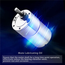 2X 12V 100RPM Getriebe Motor Hohes Drehmoment Elektrischer Untersetzung Getriebe Motor Exzentrische Abtrieb Welle 37Mm Getriebe