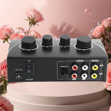 Tragbarer Audiomixer mit Zwei Mikrofoneingängen für Verstärker und Mikrofone, Karaoke-Tauglich, mit EU-Stecker