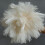 Ostrich Feather Dusters, Naturally Soft, Easy to Dust, Multi-Purpose Use, Solid Wood Handle, 41cm, White 2