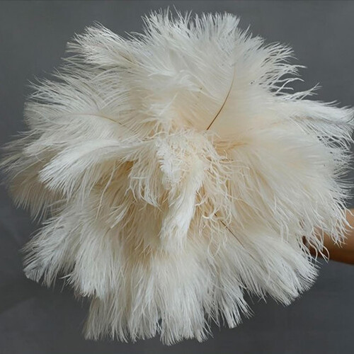 Ostrich Feather Dusters, Naturally Soft, Easy to Dust, Multi-Purpose Use, Solid Wood Handle, 41cm, White 1