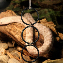 2PCS Snake Climbing Rings for Pythhon,Enrichment Rings for Corn Snake, Decorative Snake Tank Accessories with Hook