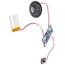 5X Module Sonore Programmable - Module Vocal Musical DIY avec Haut-Parleur, Peut Du Son et de la Musique.