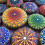 Mandala Dotting Stencil Tools Rock Painting Kit  Stylus Dotting Tools Include Stencil, Paint Tray (68 Pack) 6