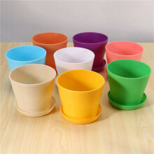24 Pcs 4 Inch Small Plant Pots Colorful Plastic Flower Pots Indoor Plant Pots for Office House Desk with Pallet/Trays