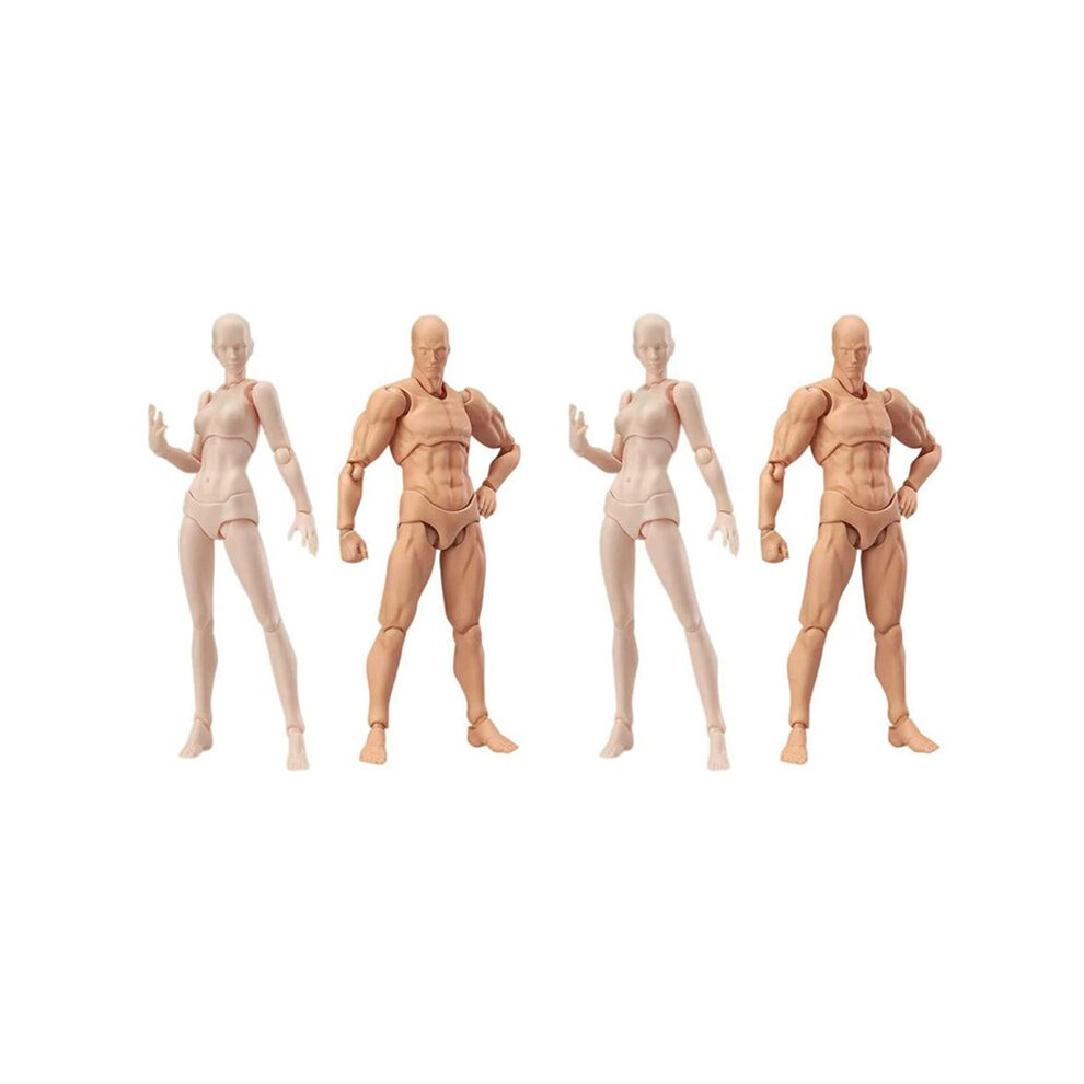Unisex 2X Body Doll, Artists Manikin Blockhead Jointed Mannequin Drawing Figures Male+Female Set (Skin Color)