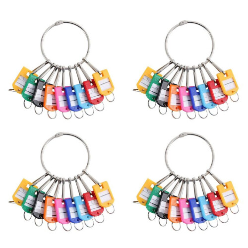 Portable Metal Ring Key Organizer with 40 Spring Hooks & Key Tags with Ring and Label Window