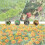 2pcs Garden Netting for Raised Beds,Rectangular Mesh Plant Covers with Drawstring for Garden Protection 5