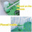 2-Pack Auto Bird Feeder and Waterer for Parakeets 2