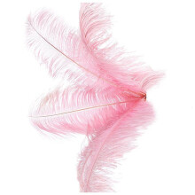 60 St Naturliga StrutsfjäDrar BröLlopsfestdekoration Rosa 20-25Cm