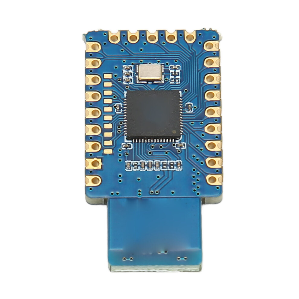 Raspi Rp2040 Dev Board Type A 4Mb 7055741800986