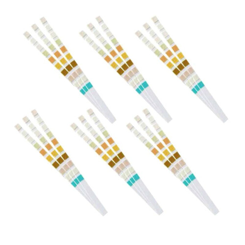 600 Strips Urine Test Strip 10 Parameters