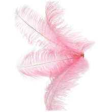 20 Pcs Natural Ostrich Feathers Wedding Party Decoration 20-25cm