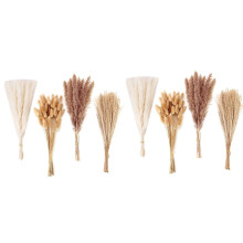 200 PCS Dried Pampas Grass Decor Pampas Grass Bunny Tails Dried Flowers Reed Grass Bouquet for Wedding Party Boho Decor