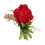 5er Set Kunststoff Boutonniere Hochzeit Rot 1