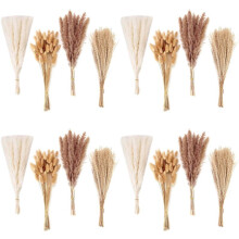 400 PCS Dried Pampas Grass Decor Pampas Grass Bunny Tails Dried Flowers Reed Grass Bouquet for Wedding Party Boho Decor