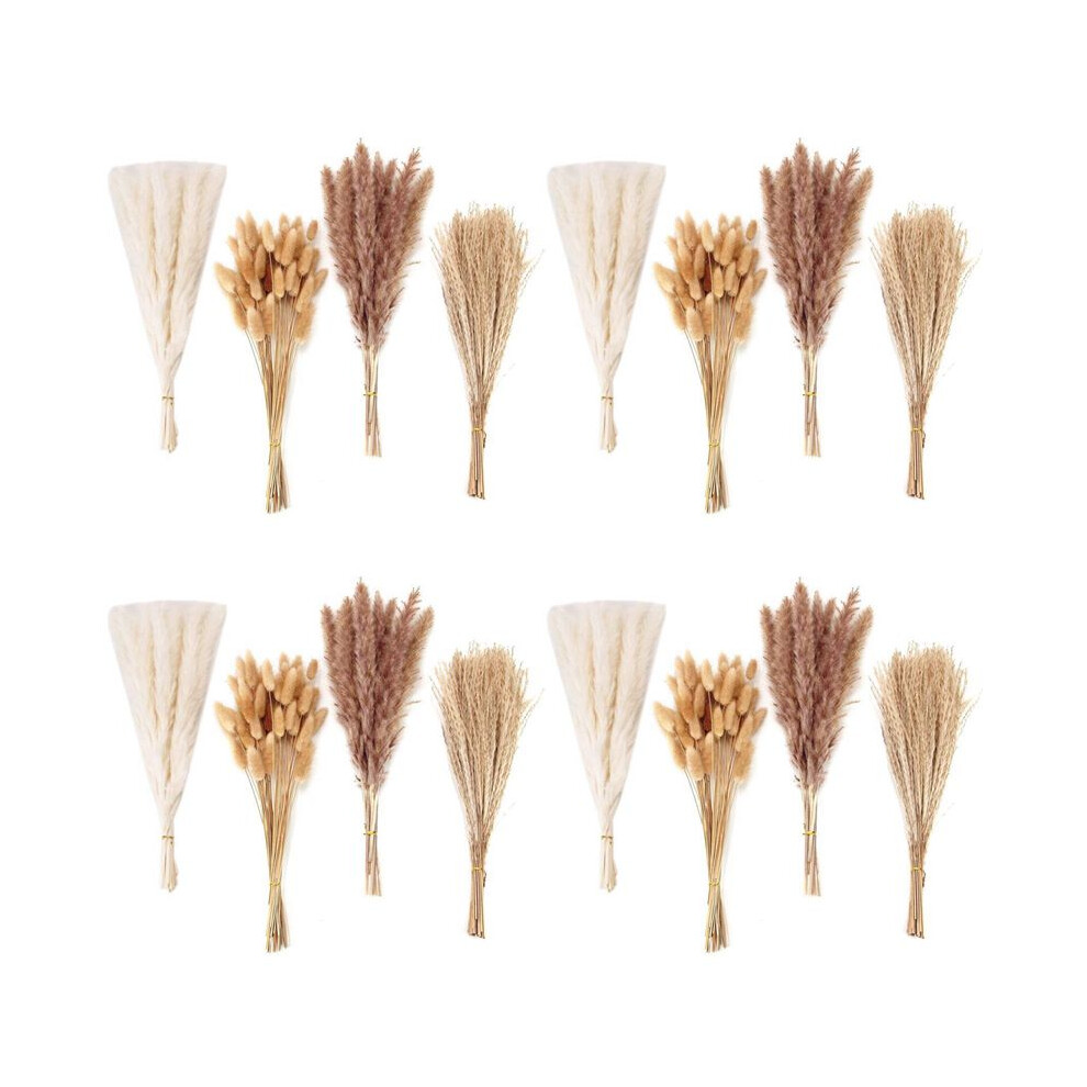 Semoic 400 Pcs Dried Pampas Grass Decor Pampas Grass Bunny Tails Dried Flowers Reed Grass Bouquet For Wedding Party Boho Decor