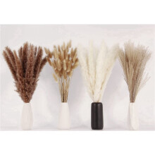400 STUKS Gedroogd Pampas Gras Decor Pampas Gras Bunny Staarten Gedroogde Bloemen Riet Gras Boeket voor Wedding Party Boho Decor