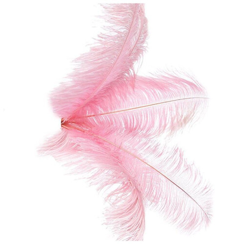 30 Pcs Natural Ostrich Feathers Wedding Party Decoration  20-25cm 1