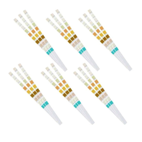 2000 Strips Urineteststrip 10 Parameters