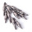 Archery Field Points Screw-in Tip Archery Practice for Recurve Compound Bow 3
