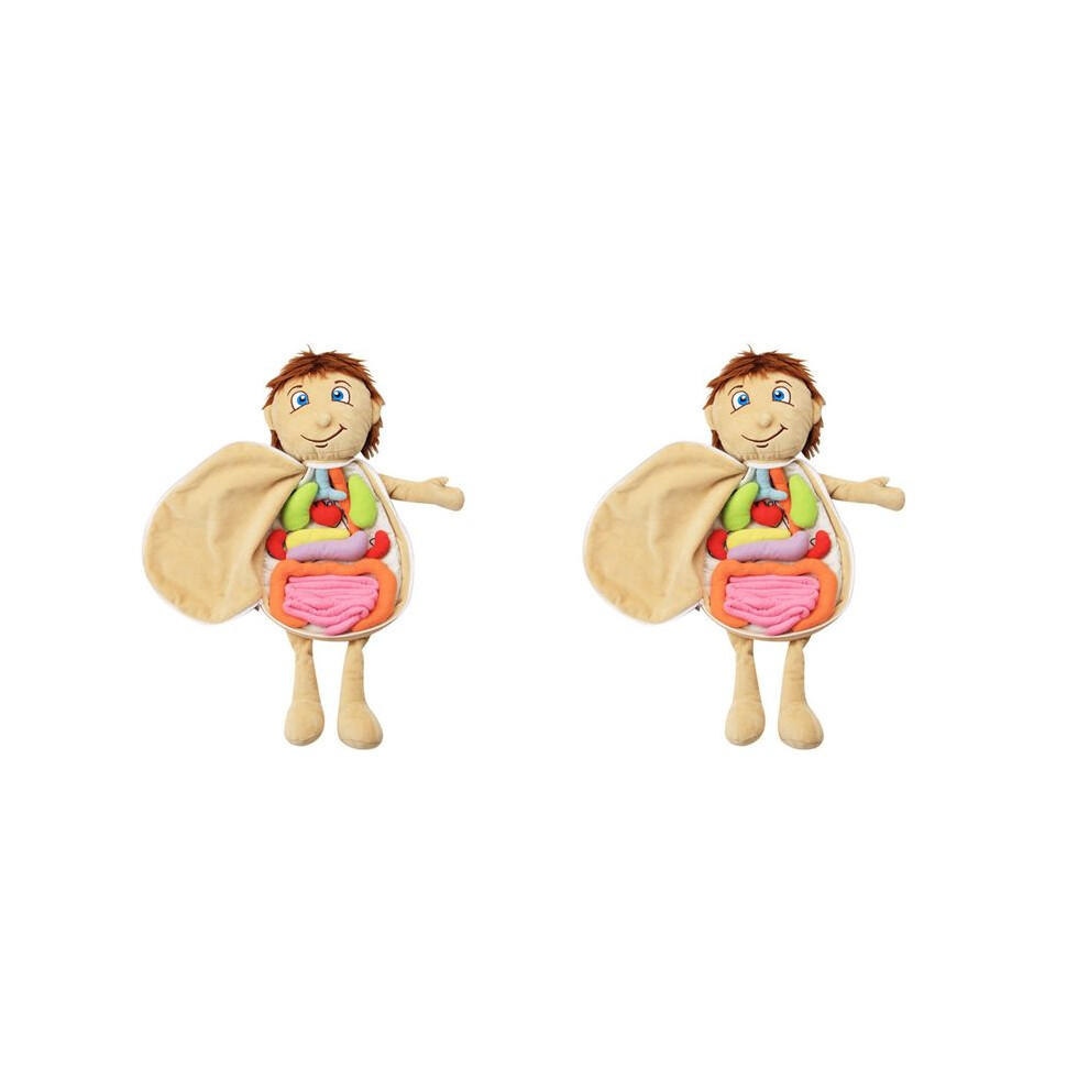 2X Kids Assembled Plush Body Organs Toy Human Body Anatomy Plush Doll Science Teaching Aids Tool Educational Toys 6031073843908
