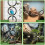 2PCS Snake Climbing Rings Kit, Adjustable  Python Enrichment Hoop Chain Toys for Corn Snakes,Chameleons, 7