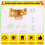 For GBC Button Light Assembly LED Color Button Mot Kit Flex Cable for Game Boy Color 2