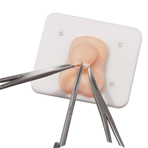 Infant Circumcision Training Model, Student Teaching Surgery Circumcision Model for Surgical Practice 1