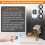 Cat Door with 3 Collar Sensor, RFID Cat Door Collar Activated with Remote Control, 4 Way Locking Black 6