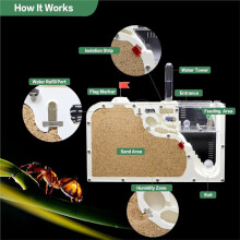 Funny Ant Castle with Sand Ant Nest Home Children Educational Bio Art Ant Farm Underground Ecology Castle Ant Cage