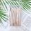 (Ginkgo yellow) 8Pcs Mini Makeup Brushes Kit with EVA Bag 3