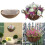 (16 Inches) Half Round Coconut Wall Basket Liners 1