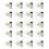2000 Strips Urineteststrip 10 Parameters 2