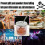 Protective Drink Cap 50 Pack, Covers for Alcohol Protection, Keeps Unwanted Items From Getting Into Cups 7