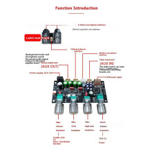 Microphone Preamp Board with Built-in Reverb DSP Mixing Anti-Feedback Audiophile-Grade Microphone for Karaoke Preamp