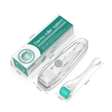 Professional Microneedle Micro Needle Scar Acne Removal for Facial Beauty and Scalp Hair Growth