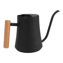 Stainless Steel Watering Can 1000ml with Wooden Handle, Black