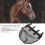 Plastic Horse Nose Net Black Large Size 1