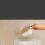 Transparent Plastic Grain Storage Box with Press Button Lid 6