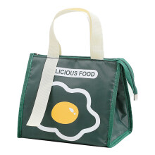 Portable Insulated Lunch Box in Green