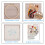 Stitching Embroidery Set Multicolors Thread for Beginner-DZ0406 6