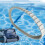 2Pack Replacement Gray Tracks for Maytronics  Robotic Pool Cleaners, Part Number 9983152-R2, Replacement Tracks 8
