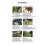 For  Osmo Mobile 6 Smartphone Gimbal Stabilizer 3-Axis Phone Gimbal with AI Tracking Foldable Design A 6