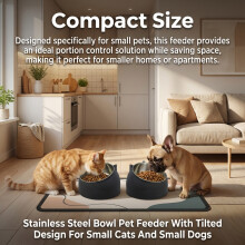 Tilted Stainless Steel Pet Bowl for Cats & Dogs
