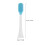 Electric Toothbrush Replacement Heads with Soft Bristles for Sensitive Gums Compatible with Various Models 2