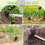 (Pointed 4 Section) Dual Head Garden Hoe & Rake Tool 5