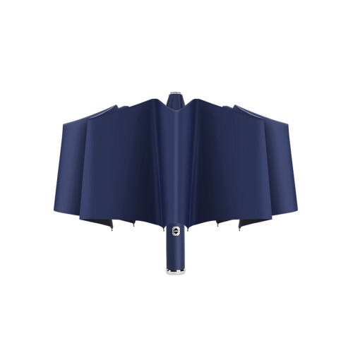 Foldable Automatic Umbrella107cm10-rib Steel Frame