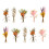 Natural Dried Flower Craft Set – Multicolour, 100g 1